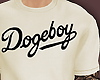 Dogeboy
