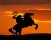 sunset cowboy