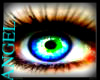 [M] Blue-greenish eyes.