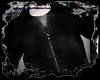 D . Gothic
