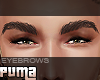 :::: Brown Brows