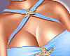 Seaside Star Set V6