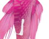 Custom Nanet ail