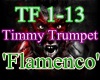 Timmy Trumpet - Flamenco