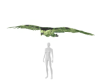 Bird Green
