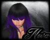 NW Obsidian Orchid
