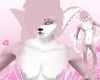 Pink Fox Fur[M]