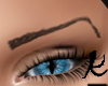 [k] Eyebrows 13