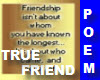 TRUE n Lost FRIENDSHIPS