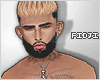 Basic Avatar