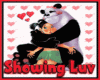 Love panda