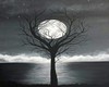 full moon