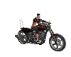 Moto Harley D  + Pose