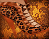  Kruella Leopard {E{