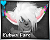 D~Kubwa Ears: White(M/F)