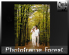 Photo frame Forest