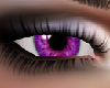 Enchanting Purple Eyes