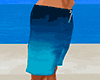 Board Shorts Reef Blue