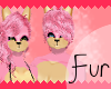 [EP]Amy Rosee Fur [F]