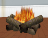 Hardwood fire # 2