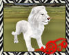 Safari White Lion