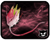 [PP] Pink Lily LionTail