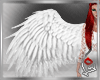 [LD]Angel Wings♣W