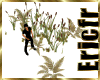 [Efr] Reed Plants