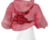 ~KUNT~Hoodie PNK