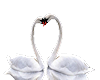 ~MA~Swans In Love