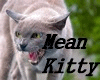 Mean Kitty Song