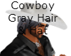 CowBoy Gray