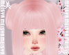 美 Yue Chinese