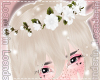 Loe~Headband White