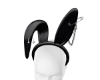 Bunny Ears Drv