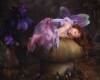 SweetDreams Little Fairy
