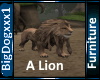 [BD] A Lion