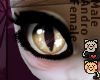 Papitas Fawn Eyes