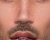 perfect fit nose ring M