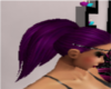 ponytail purple