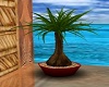 Palm red pot