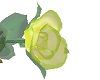 Spring Green Glass Rose
