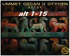 Ummet Ozcan Otyken Altay