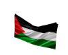 Palestine Flag