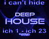 i can't hide  mix