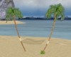 Palms with hammock