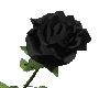 Animated Black Rose