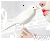 lPl CHIRPY HAND-BIRD ~Wt