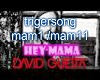 David Guetta - Hey Mama 