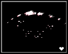 兎. Grams | Eyes